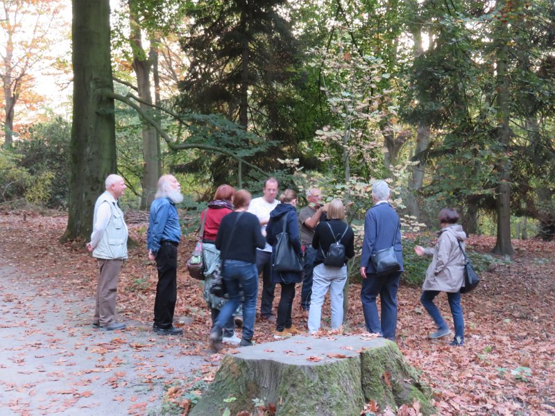 Geografisches Arboretum Rombergpark am 17,102018 (70)